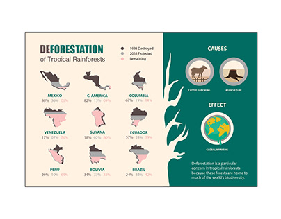 Deforestation of Tropical Rainforests Infographic