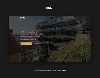 DRN - new website 2021