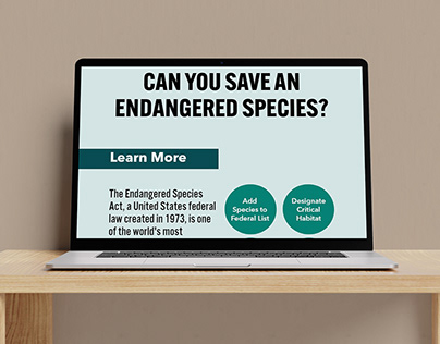 Endangered Species Infographic