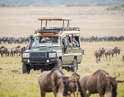 kenya safari tours masai mara