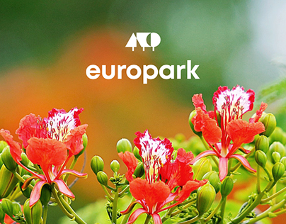 Redesign of a website for Europark