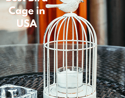 Best Bird Cages in the USA | Talis Us