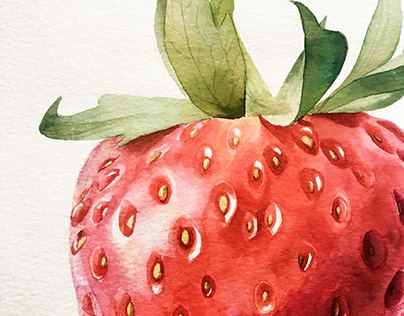 Berries - Watercolor food illustration