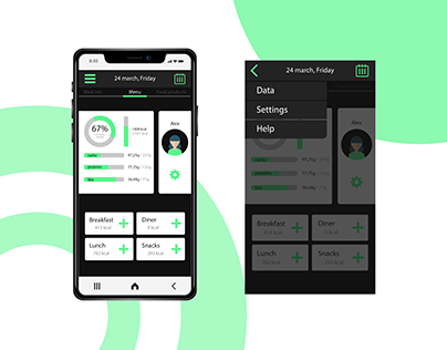 Calorie Counter mobile app, User Interface Design