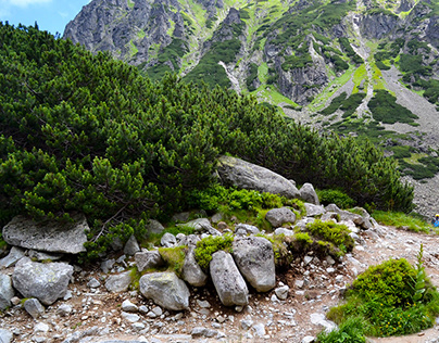Tatra National Park, 2016