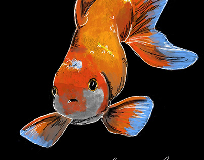 Goldfish - digital illustration