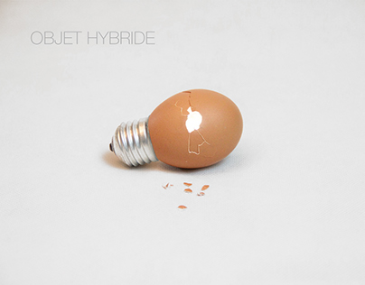 OBJET HYBRIDE