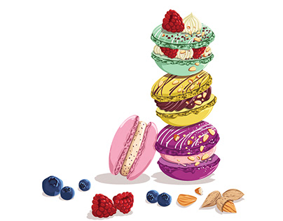 Macaron - new food illustration