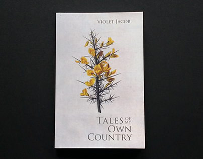 Tales of My Own Country - MSc Degree Project