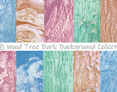 Tree Bark Close Up Background Photographs