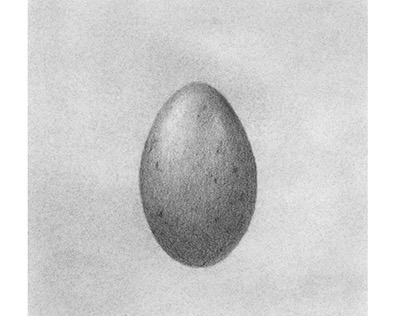 Nest Egg Bird