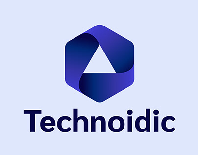 Technoidic - Logo & Website Design