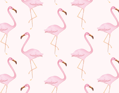 Estampa Flamingo/ Flamingo Pattern