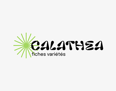Calathea - fiches variétés