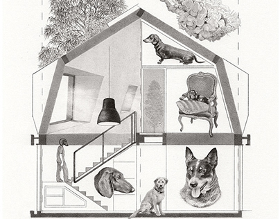 Ilustraciones para el libro "Arquitectura a la inversa"