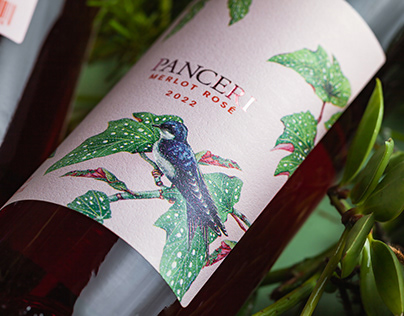 Merlot Rosé Wine - Label Design