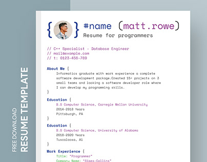 Free Editable Online Resume for Programmers Template