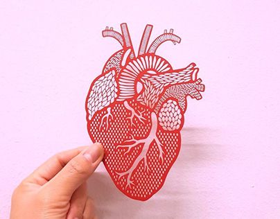 Anatomisk hjerte