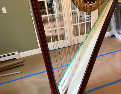 Project thumbnail - Gilded Harp NY