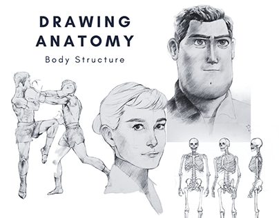 Human Structure Drawing Study