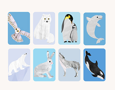 animal cards