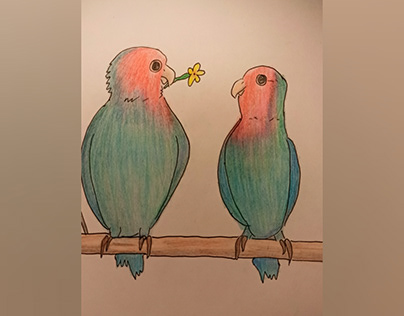 Parrots in love🥰🦜