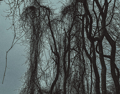 Haunted Bog by Aerik Von