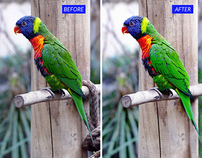 Removing unwanted objects from photo