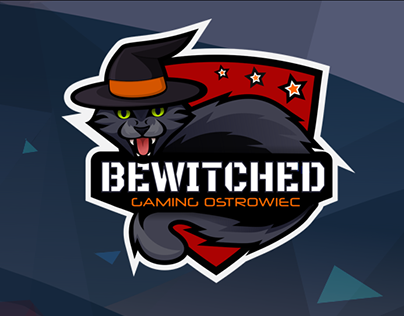 Infografiki FB - Bewitched Gaming Ostrowiec 2019 & 2018