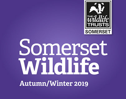 Somerset Wildlife Trust, Autumn/Winter 2019