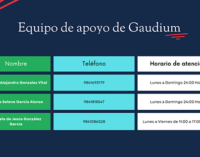 Gaudium Projects  Photos, videos, logos, illustrations and branding on  Behance