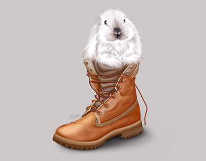 Rabbit & Boot