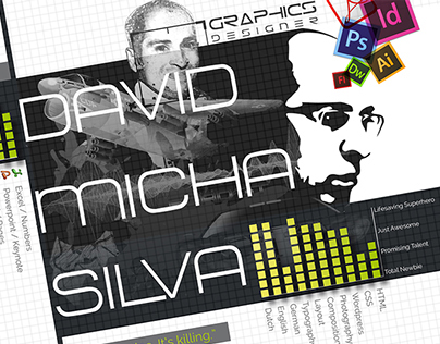 New Resume David Silva - 2015