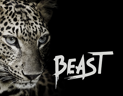 Beast - Brush Font