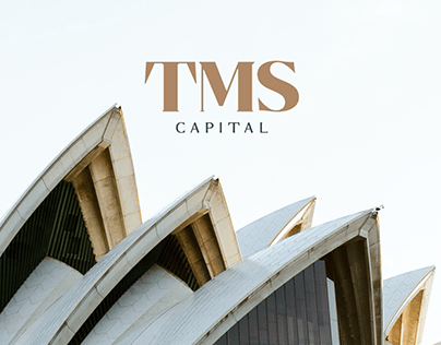 TMS Capital Branding and Website