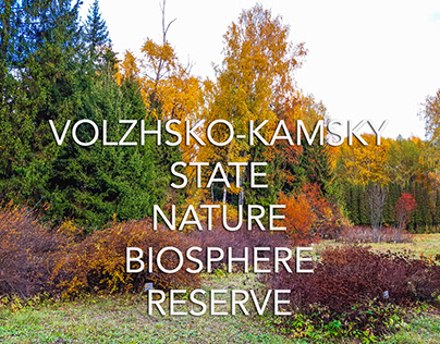 Volzhsko-Kamsky state nature biosphere reserve