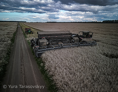 Nexat Canola Harvest 2023 in Ukraine