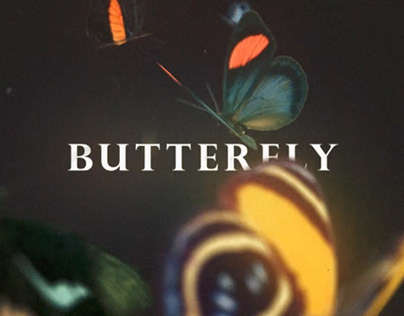 Butterfly - Short film