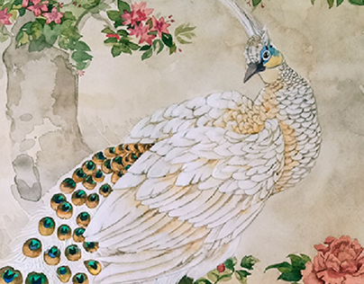 White peacocks (copying Chinese painting)
