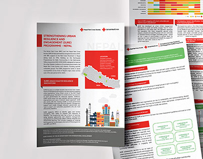 Infographics and Report Design