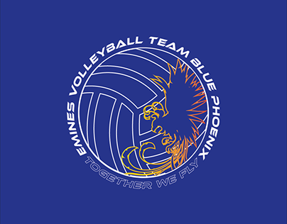 Blue Phoenix Volleyball Team