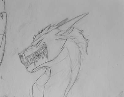 some dragon sketches