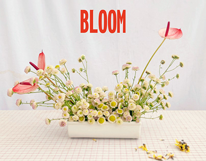 for BLOOM