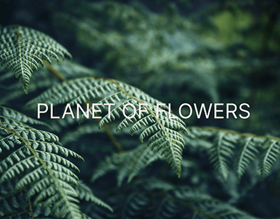 PLANET OF FLOWERS