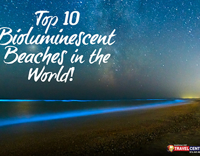 Top 10 Bioluminescent Beaches in the World! 😀🤩💙😎