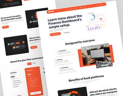 Finance Dashboard Website - SaaS Website Design