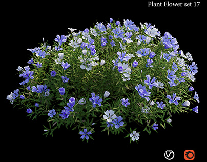 Plant flower set 17