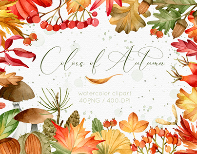 Colors of Autumn watercolor botanical clipart 40 PNG