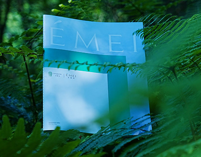 【悦榕庄丨在峨眉】BANYAN TREE丨ÉMEI 项目手册设计