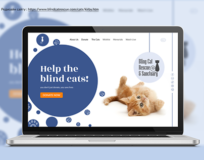 Редизайн сайту Blind Cat Rescue & Sanctuary